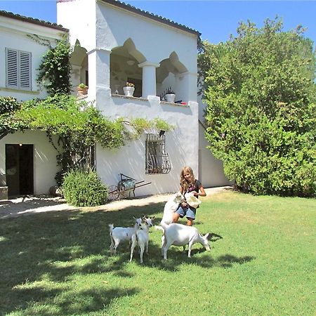 Agriturismo "Borgo Madonna Degli Angeli" - Charming Cottages In The Gardens ! Tocco da Casauria Exterior photo