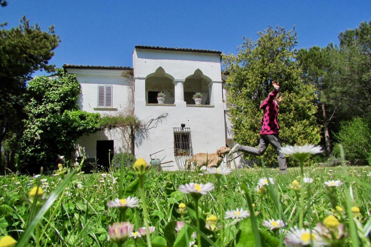 Agriturismo "Borgo Madonna Degli Angeli" - Charming Cottages In The Gardens ! Tocco da Casauria Exterior photo