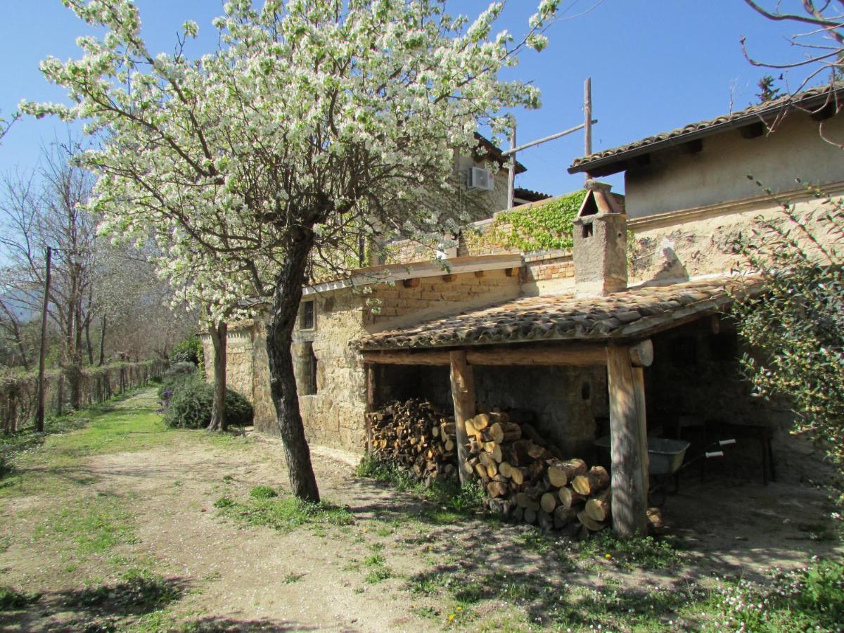 Agriturismo "Borgo Madonna Degli Angeli" - Charming Cottages In The Gardens ! Tocco da Casauria Exterior photo