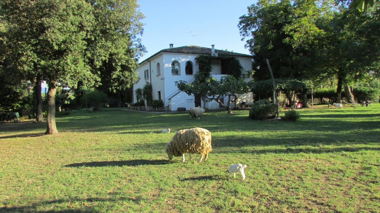 Agriturismo "Borgo Madonna Degli Angeli" - Charming Cottages In The Gardens ! Tocco da Casauria Exterior photo