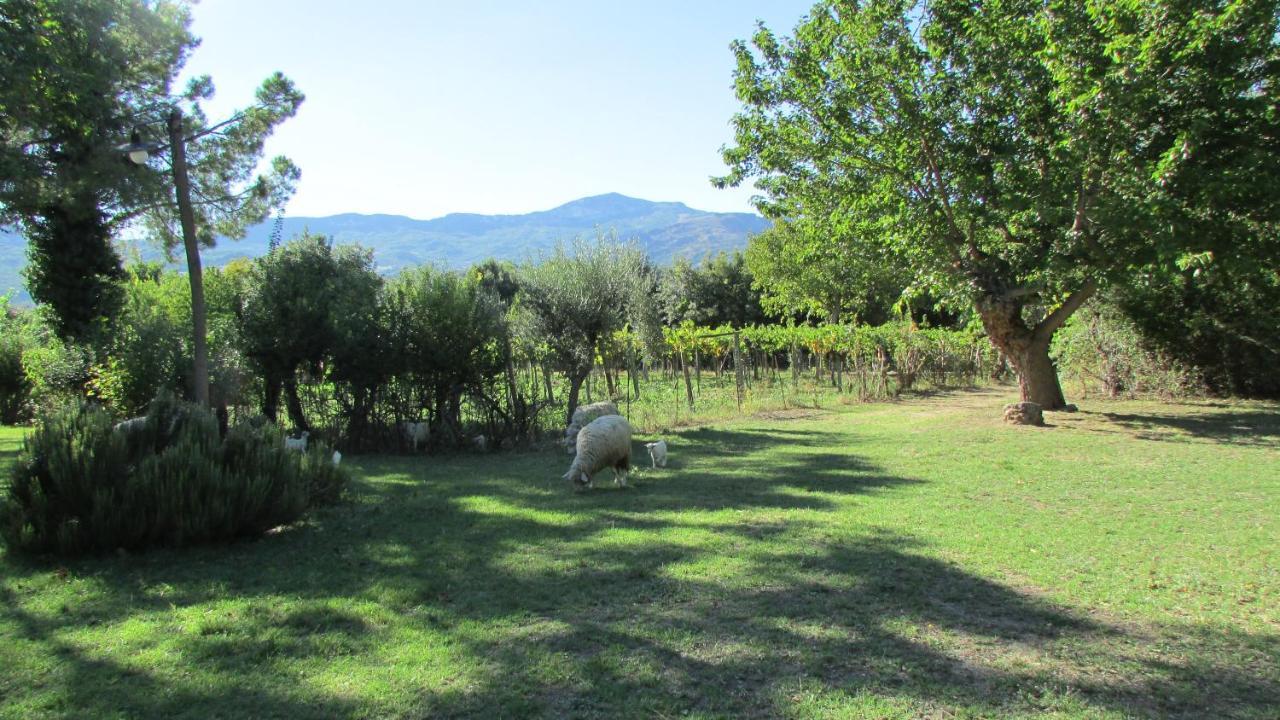 Agriturismo "Borgo Madonna Degli Angeli" - Charming Cottages In The Gardens ! Tocco da Casauria Exterior photo