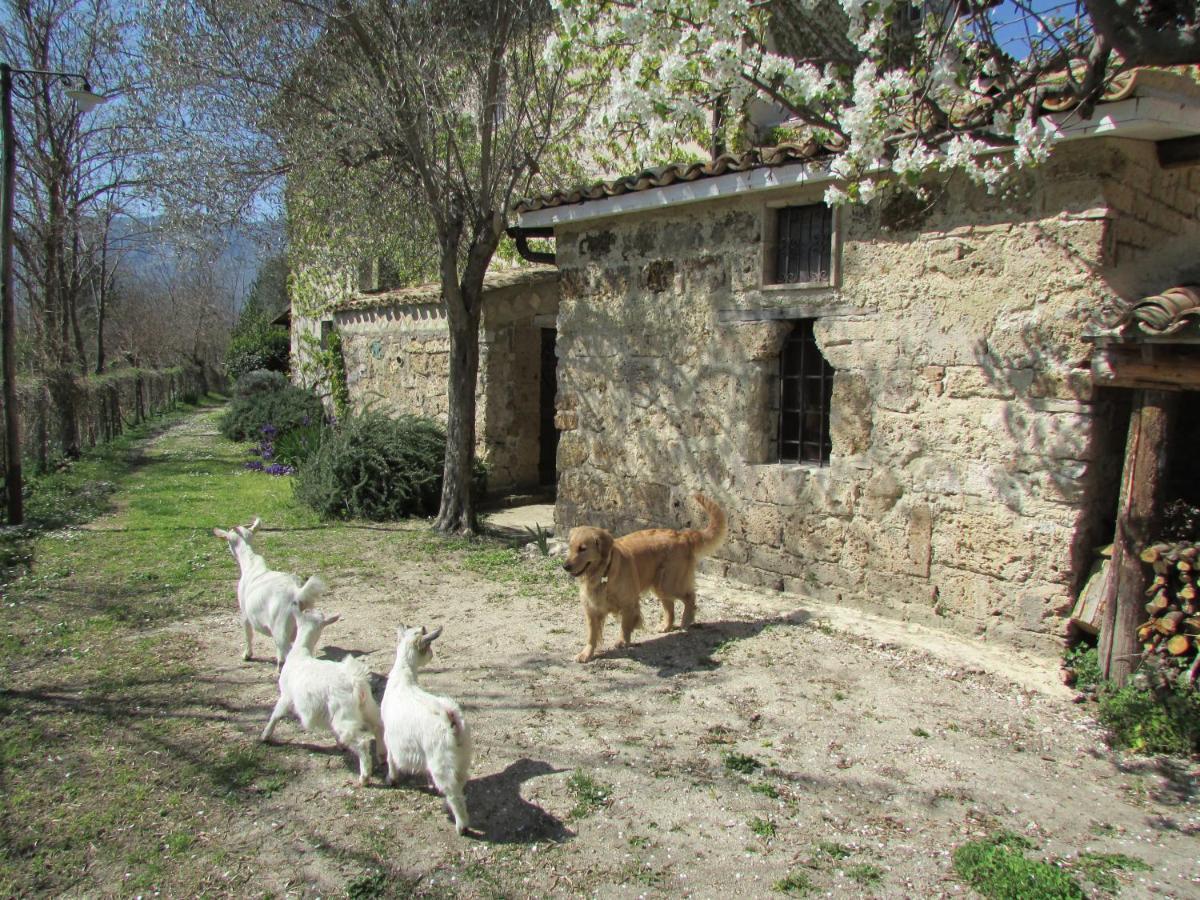 Agriturismo "Borgo Madonna Degli Angeli" - Charming Cottages In The Gardens ! Tocco da Casauria Exterior photo