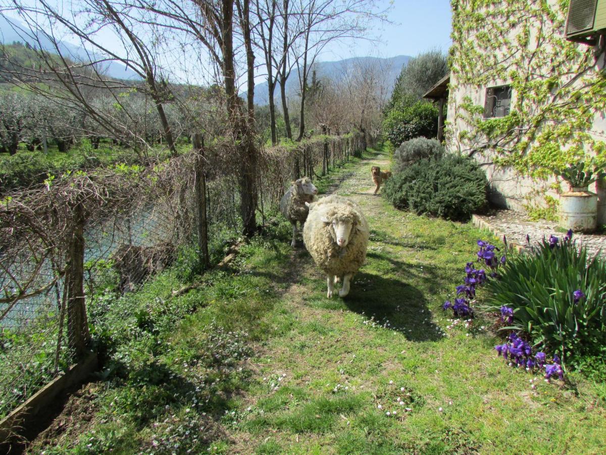 Agriturismo "Borgo Madonna Degli Angeli" - Charming Cottages In The Gardens ! Tocco da Casauria Exterior photo