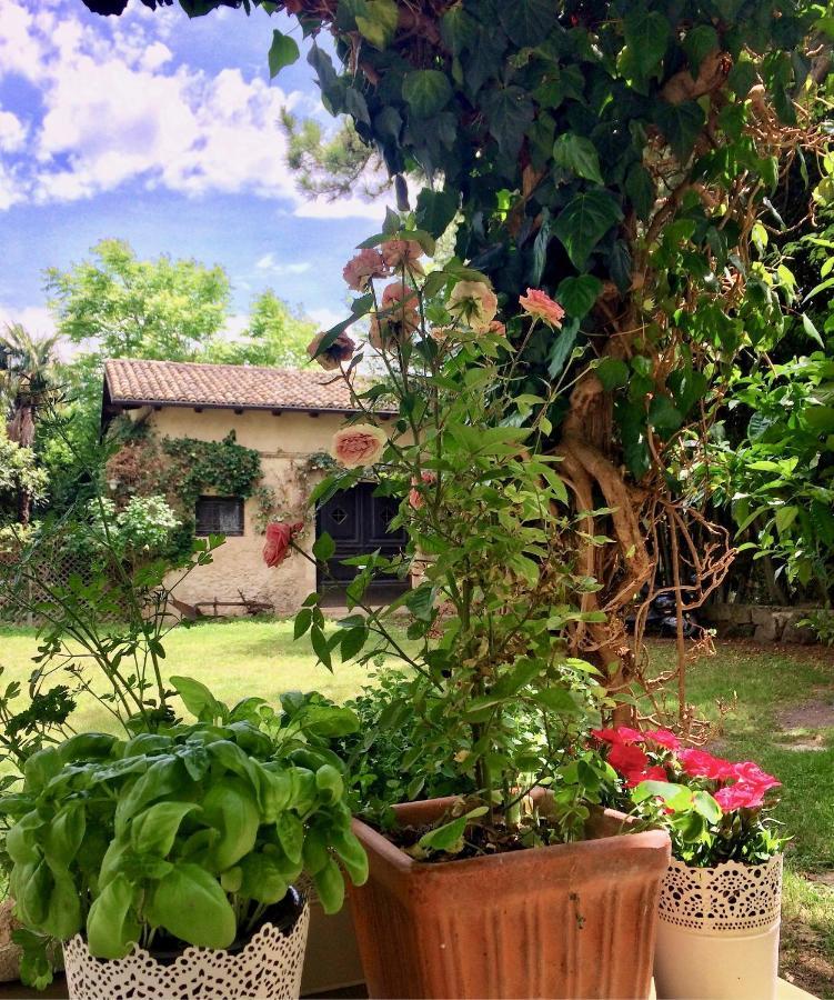 Agriturismo "Borgo Madonna Degli Angeli" - Charming Cottages In The Gardens ! Tocco da Casauria Exterior photo