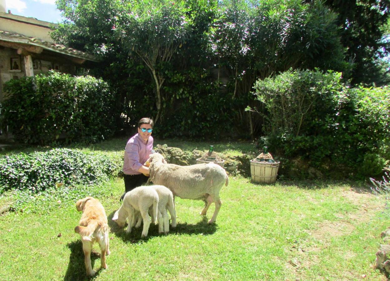 Agriturismo "Borgo Madonna Degli Angeli" - Charming Cottages In The Gardens ! Tocco da Casauria Exterior photo