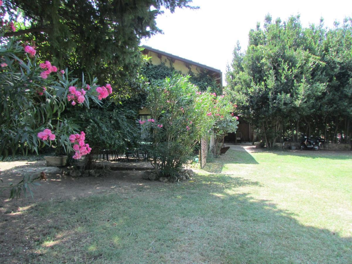 Agriturismo "Borgo Madonna Degli Angeli" - Charming Cottages In The Gardens ! Tocco da Casauria Exterior photo